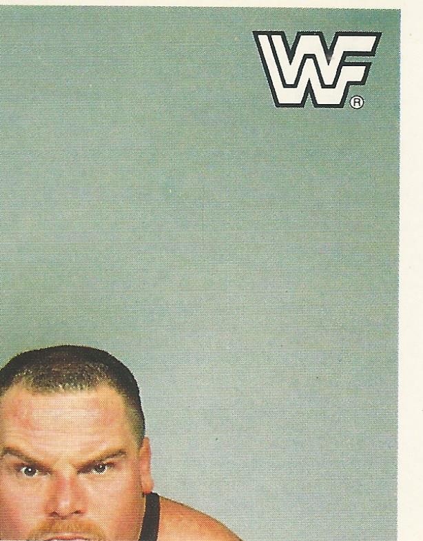 WWF Merlin Sticker Collection 1990 Hart Foundation #61