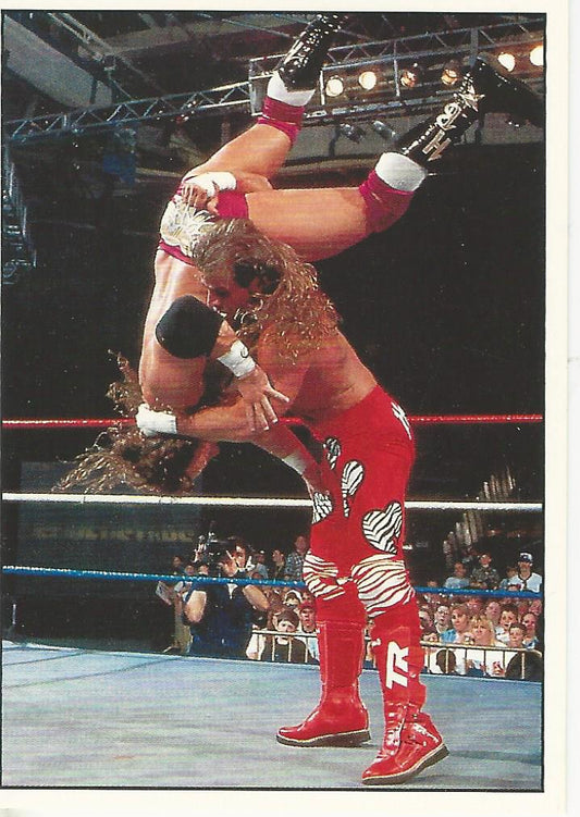 WWF Panini 1995 Sticker Collection Shawn Michaels #61
