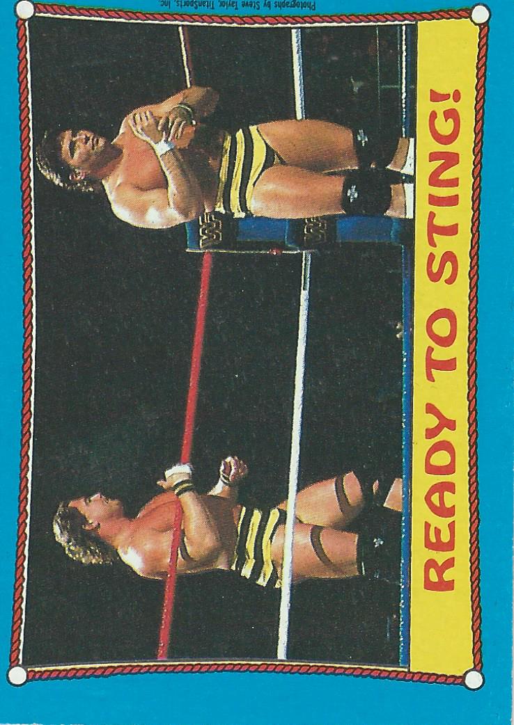 Topps WWF Wrestling Cards 1987 Killer Bees #62