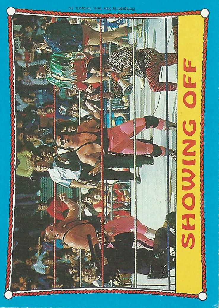 Topps WWF Wrestling Cards 1987 Bret Hart #63