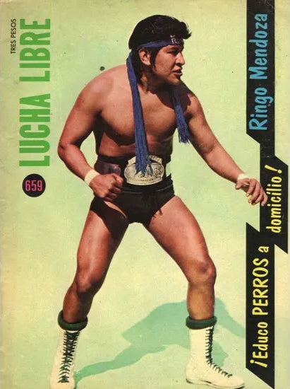 Lucha Libre Volume 659 Magazine PWcatalog