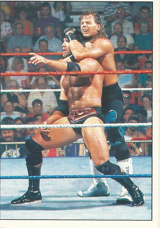 WWF Panini 1995 Sticker Collection Shawn Michaels #65