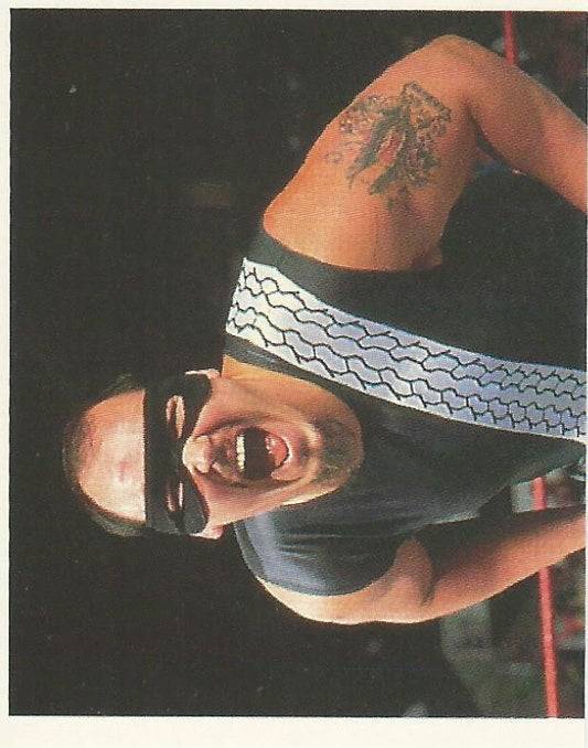 WWF Merlin Stickers 1992 Repo Man #68