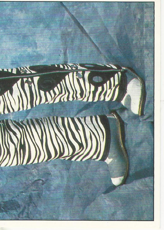 WWF Panini 1995 Sticker Collection Shawn Michaels #68