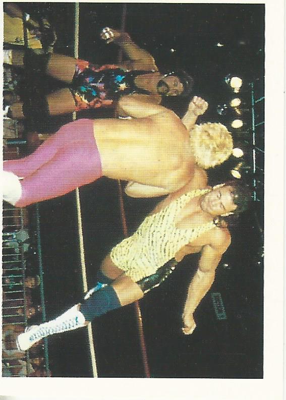 WCW Euroflash 1992 Sticker Steiner Brothers #70