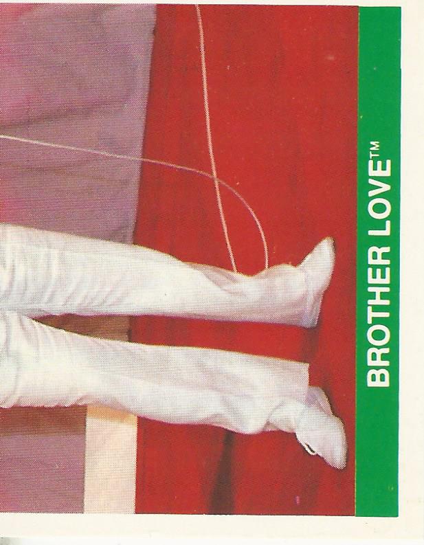 WWF Merlin Sticker Collection 1990 Brother Love #70