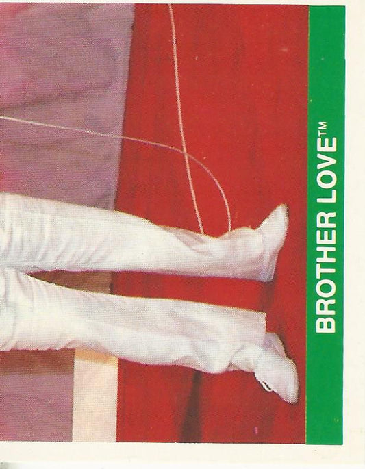 WWF Merlin Sticker Collection 1990 Brother Love #70