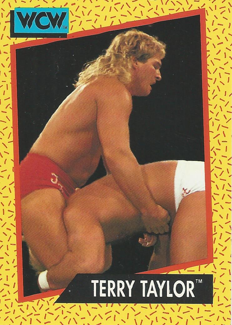 WCW Impel 1991 Terry Taylor #72