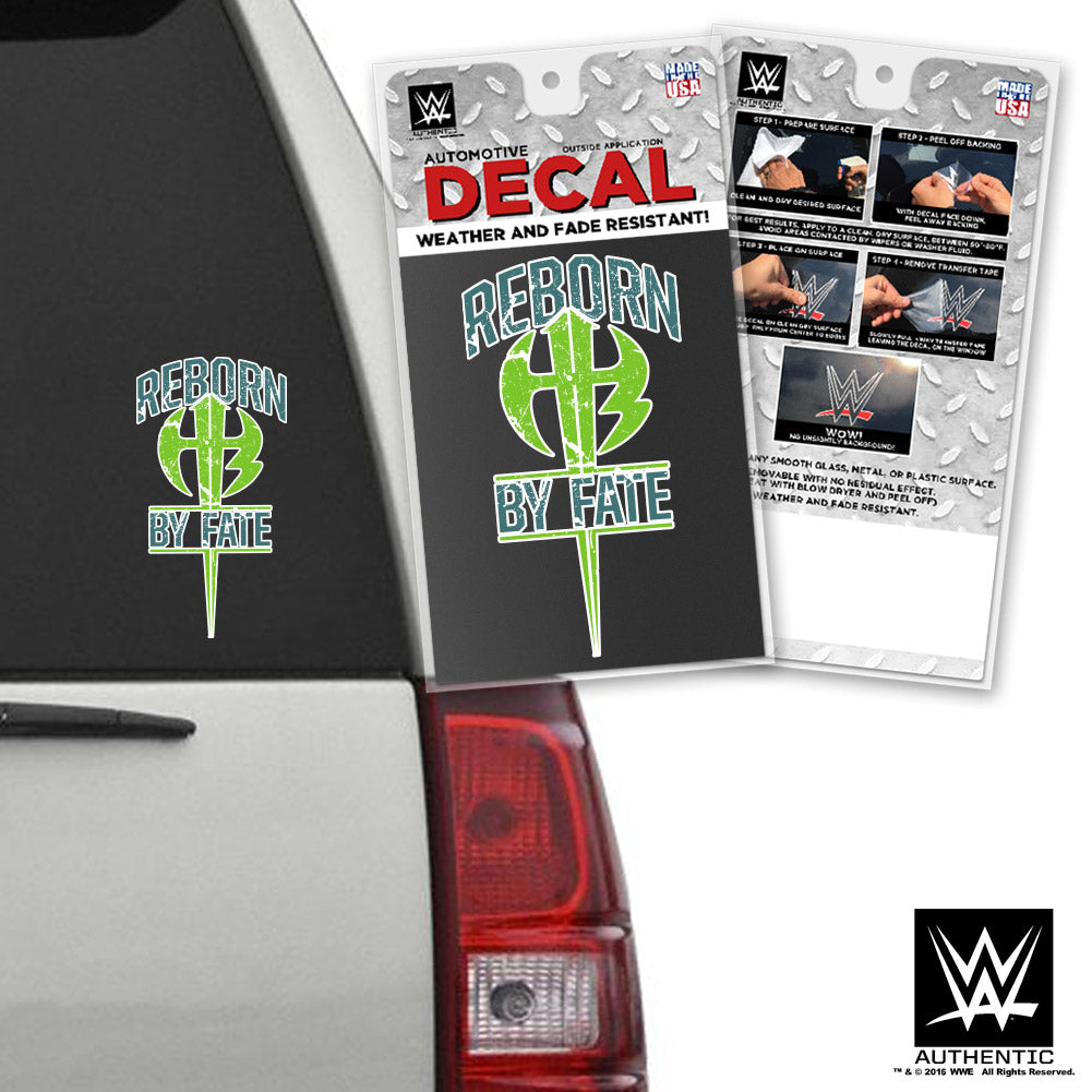 The Hardy Boyz "Reborn by Fate" Car Decal