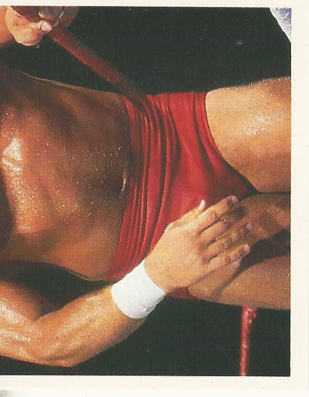 WWF Merlin Stickers 1991 Sid Justice #76