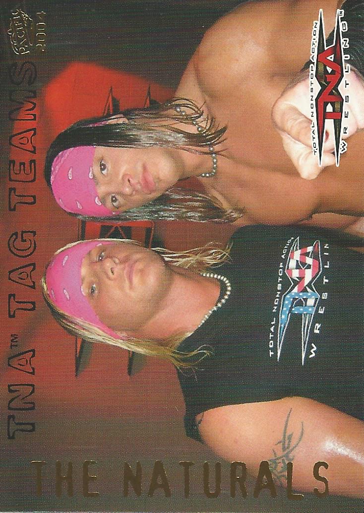 TNA Pacific 2004 The Naturals Tag Team #2