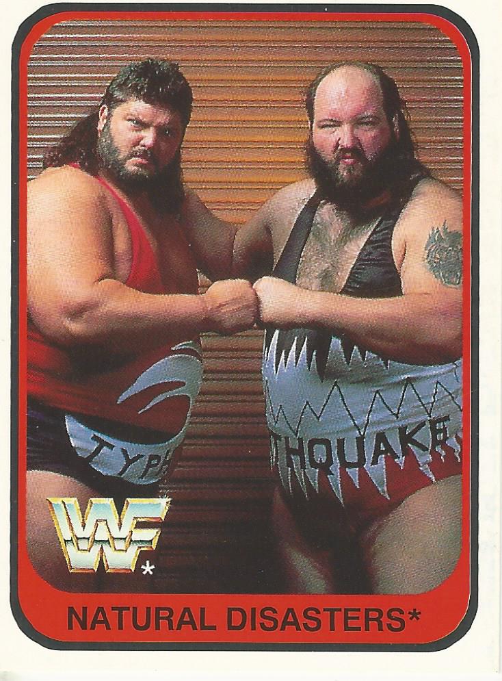 WWF Merlin 1991 Natural Disasters #78