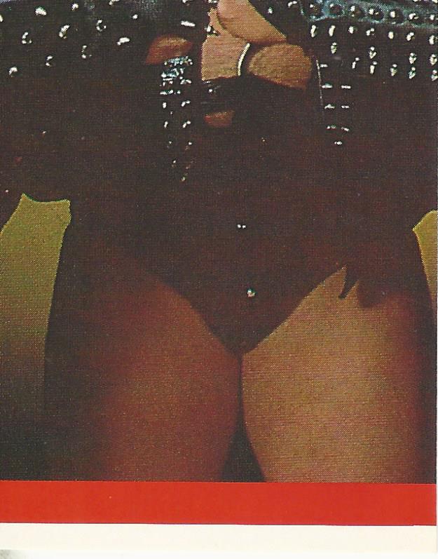 WWF Merlin Sticker Collection 1990 Demolition #80