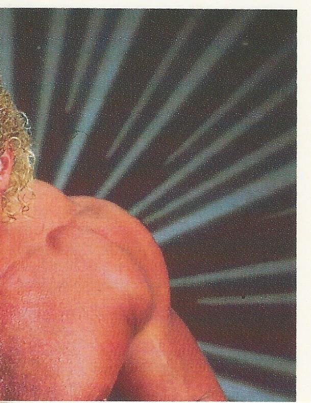 WWF Merlin Stickers 1991 Sid Justice #81