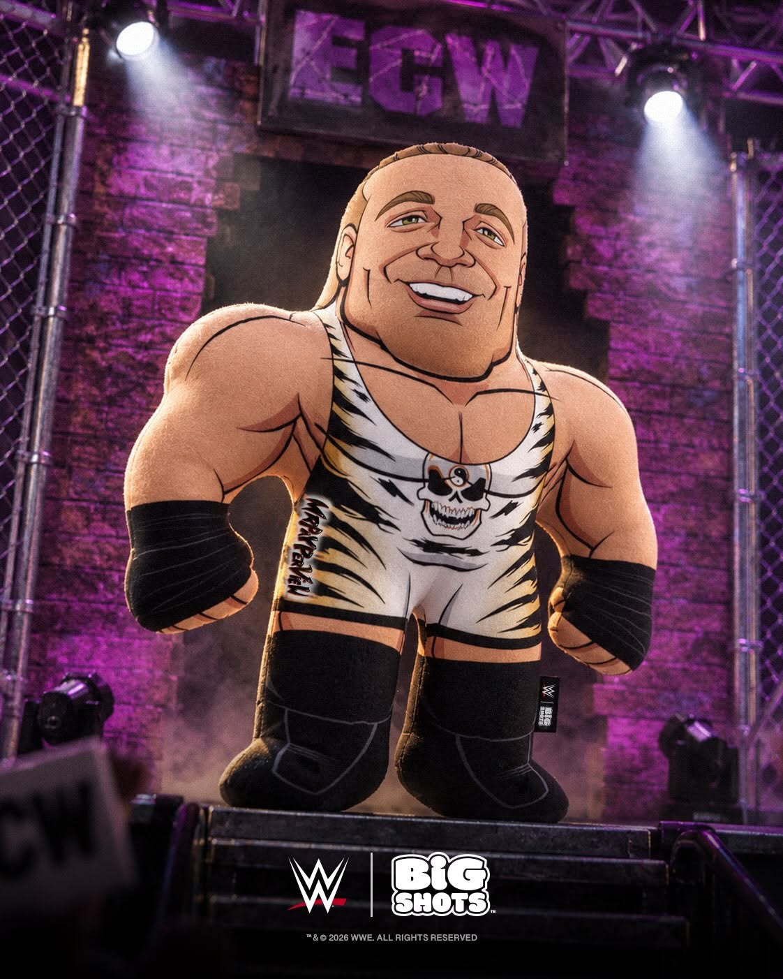 WWE Big Shots Rob Van Dam