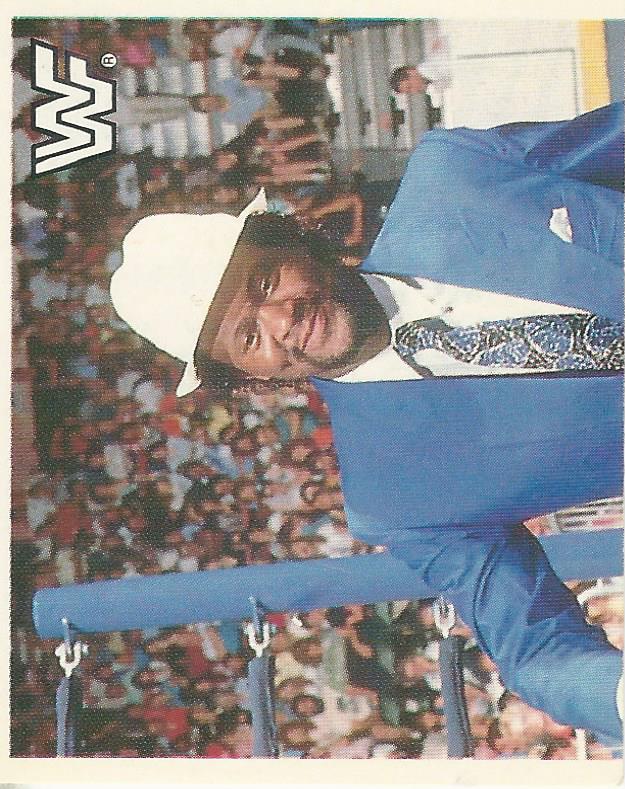 WWF Merlin Sticker Collection 1990 Slick #85