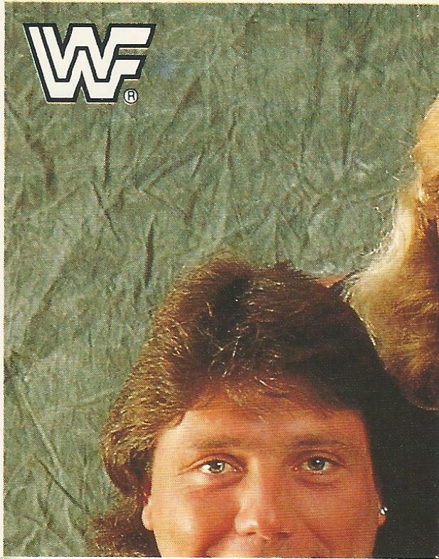 WWF Merlin Sticker Collection 1990 Rockers #88