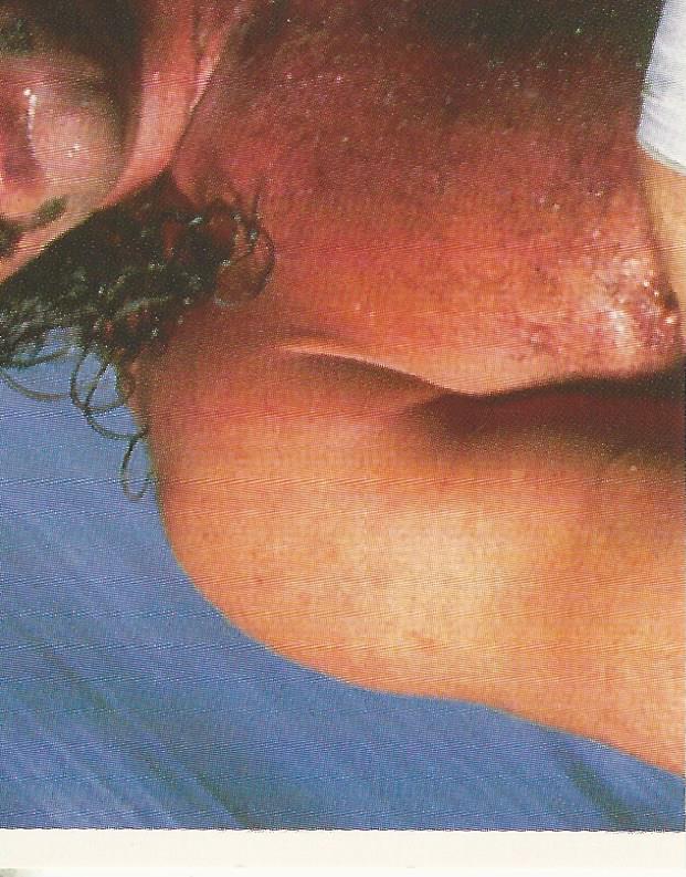 WWF Merlin Stickers 1991 Jake the Snake Roberts #88