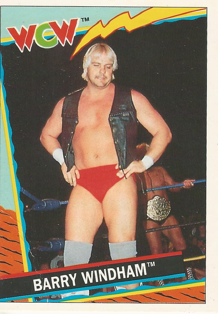WCW Topps 1992 Barry Windham #8