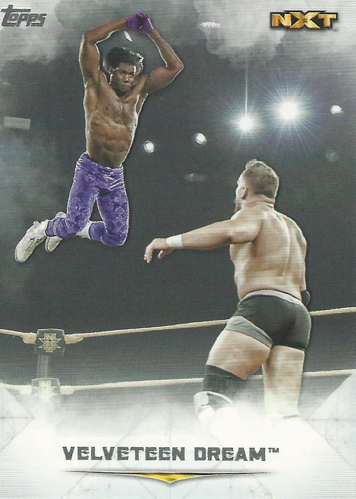 WWE Topps Undisputed 2020 Velveteen Dream #74