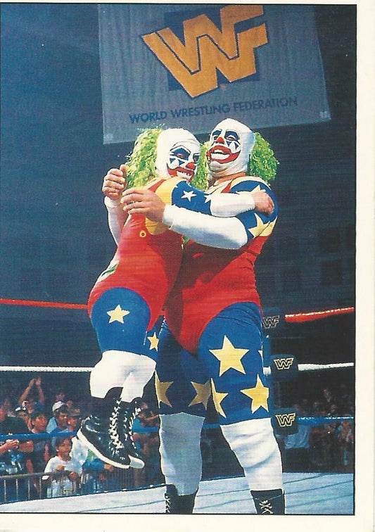 WWF Panini 1995 Sticker Collection Doink and Dink #90