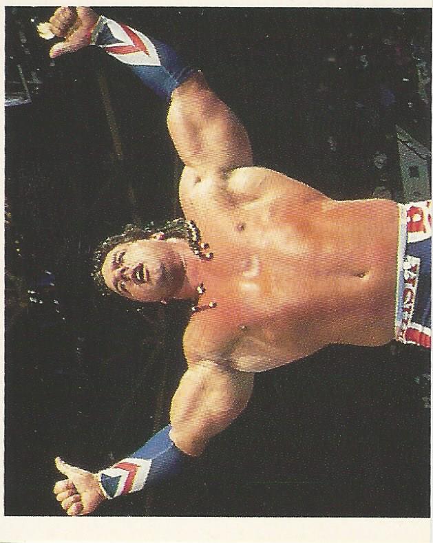 WWF Merlin Stickers 1991 British Bulldog #99