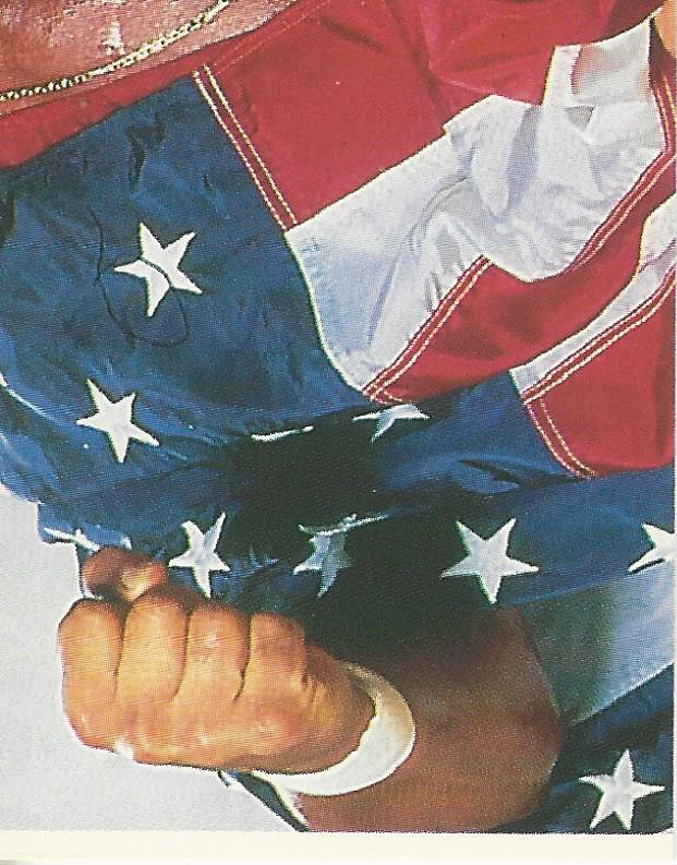 WWF Merlin Stickers 1991 Hulk Hogan #9