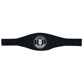 NXT Championship Replica Title (2017)