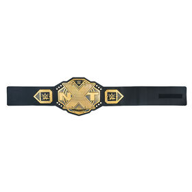 NXT Championship Toy Title