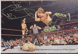 Shawn Michaels 2007 WWE Ice Cream Cut-outs Unilever PW Catalog