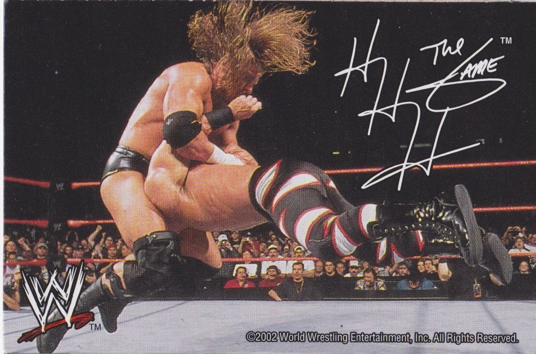 HHH WWF Ice Cream Cut-out 2002 Good Humor PW Catalog