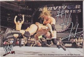 HHH 2007 WWE Ice Cream Cut-out Unilever PW Catalog