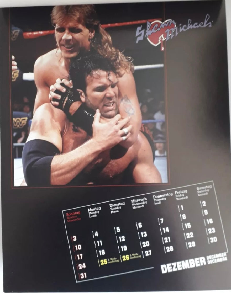 WWF Superstars in Action 1995 Calendar from Germany PW Catalog