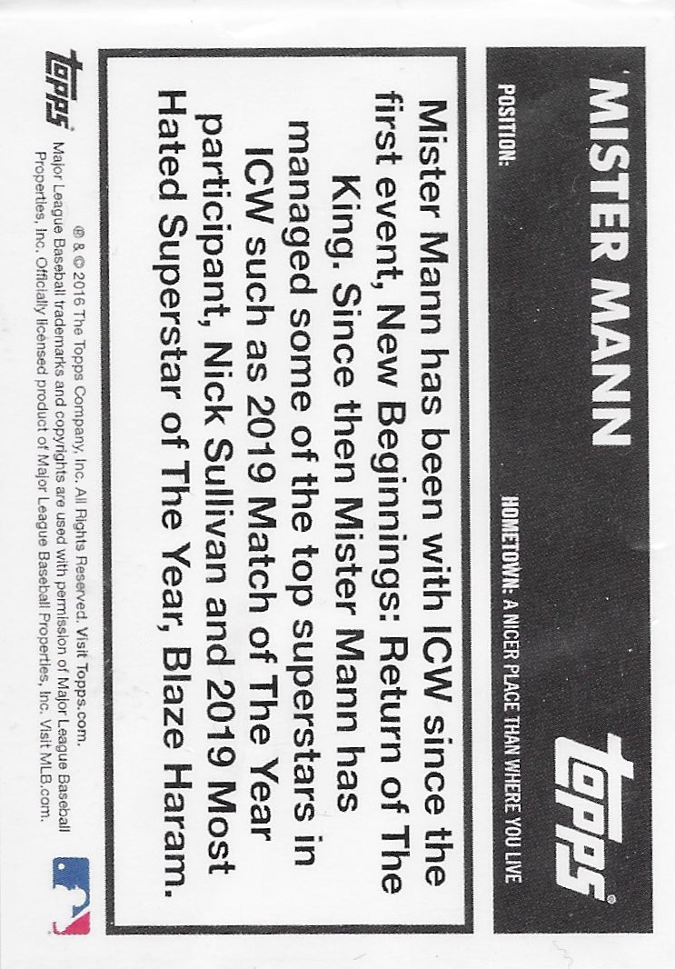 Mister Mann