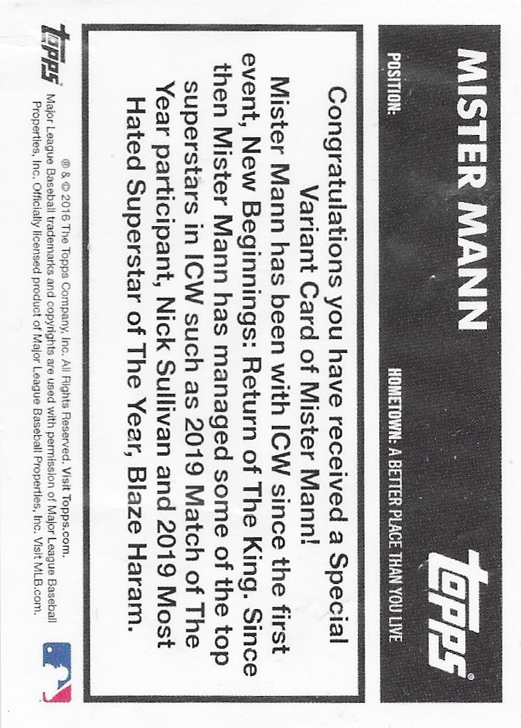 Mister Mann - image 2