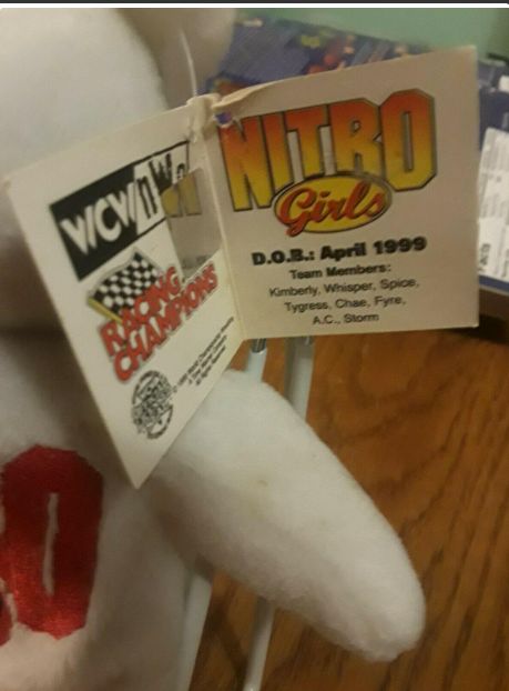 WCW Nitro Girls Nitros Bears & Wolves 9" Beanie Bear 1999 by Racing Champions Pwcatalog