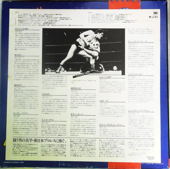 Fighting Spirits Orchestra Theme Of Super Fighter II 1982 from Japan Music CDs PWcatalog