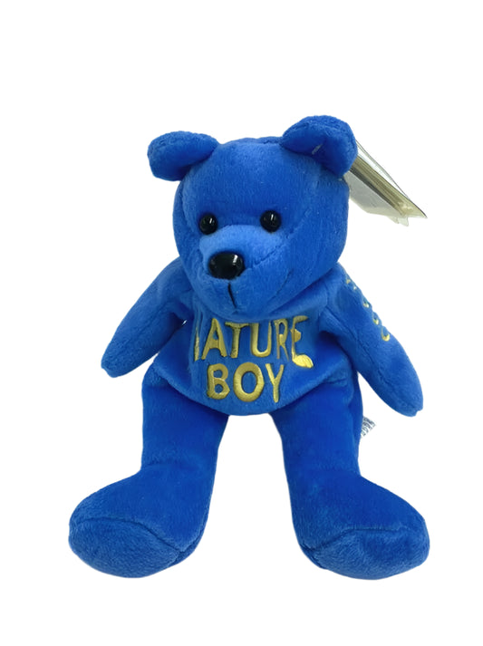 WCW Ric Flair Nitros Bears & Wolves 9" Beanie Bear 1999 by Racing Champions Pwcatalog