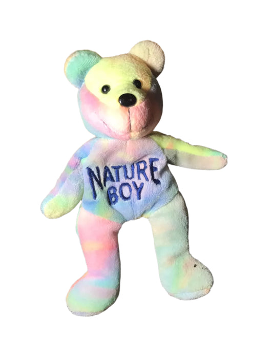WCW Ric Flair Tie-Dyed Nitros Bears & Wolves 9" Beanie Bear 1999 by Racing Champions Pwcatalog