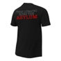 Dean Ambrose "This Lunatic Runs the Asylum" Youth Authentic T-Shirt T-Shirt PW Catalog