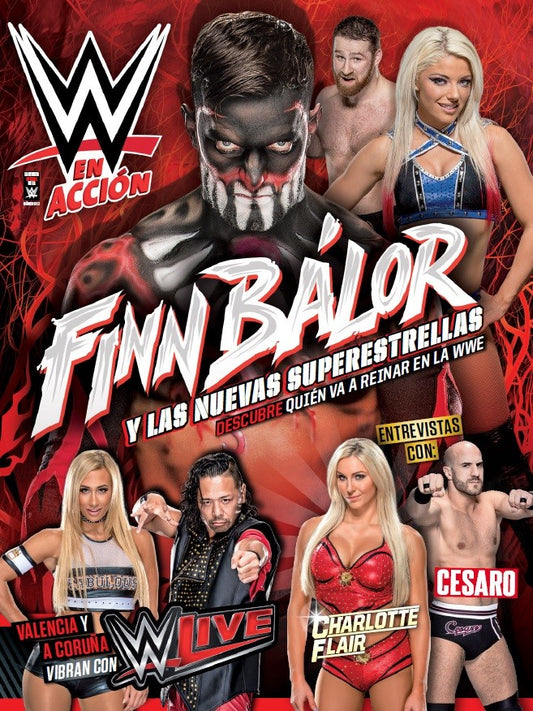 WWE En Accion From Spain Volume 12 Magazine PWcatalog