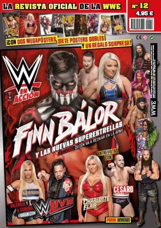 WWE En Accion From Spain Volume 12 Magazine PWcatalog
