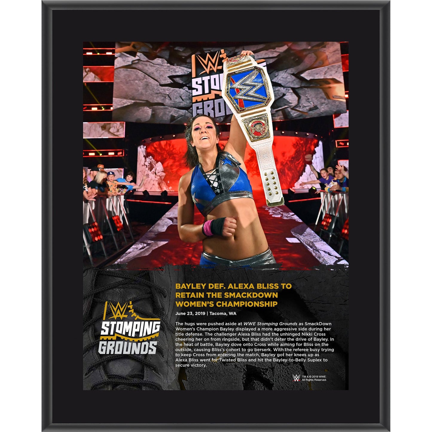 Bayley Framed 10.5" x 13" 2019 Stomping Grounds Sublimated Plaque
