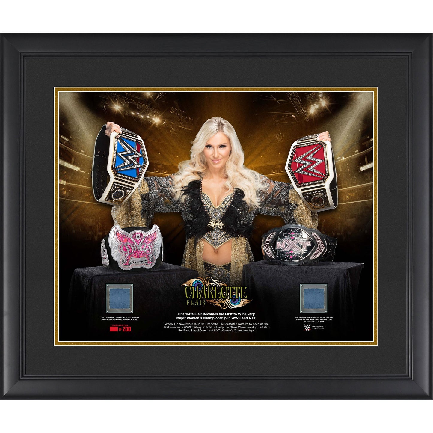 Charlotte Flair Framed 16" x 20" Every Championship Collage with Two Pieces of Match-Used Canvas - Limited Edition of 200