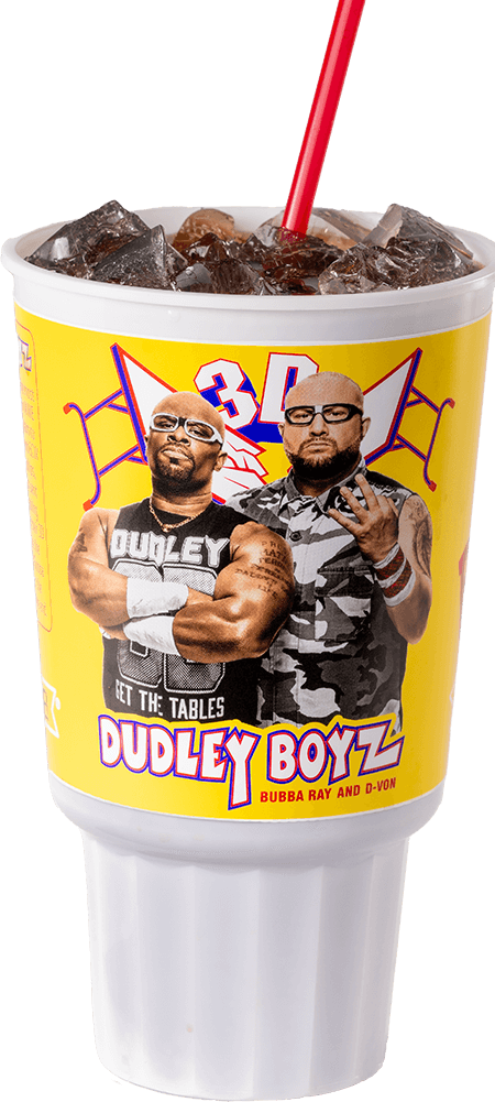 WWE Bojangles Cup Dudley Boyz 2024 "LEGENDARY TAG TEAM" PWcatalog