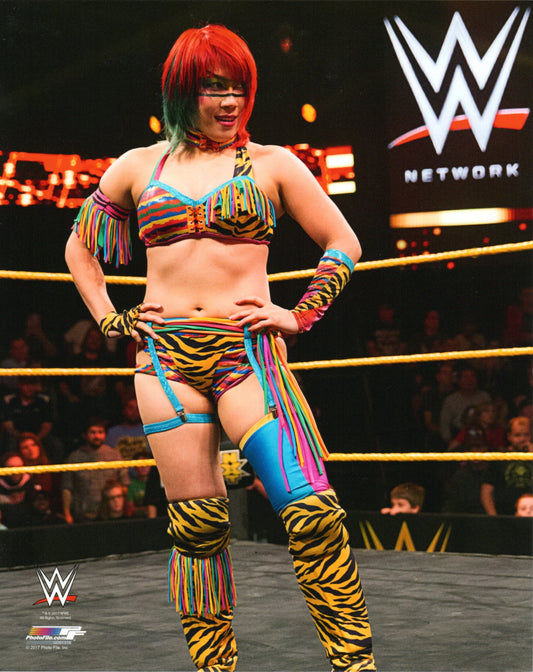 Asuka WWE Photofile 8x10' Photo Wrestling Memorabilia PW Catalog
