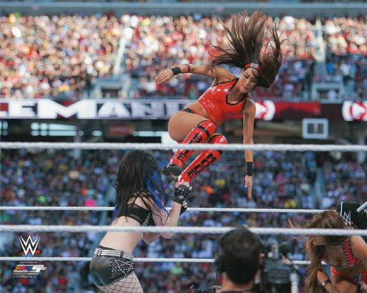 Brie Bella WWE Photofile 8x10' Photo Wrestling Memorabilia PW Catalog