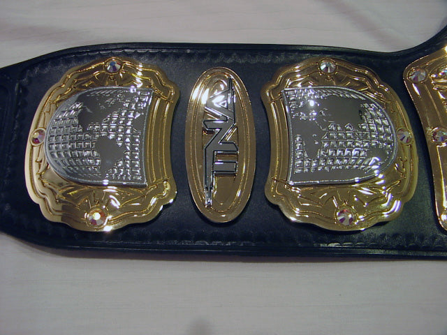 TNA Heavyweight Championship Collectors Belt