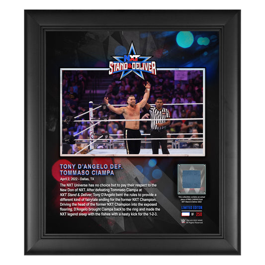 Tony D'Angelo NXT Stand & Deliver 2022 15x17 Commemorative Plaque Memorabilia PWcatalog