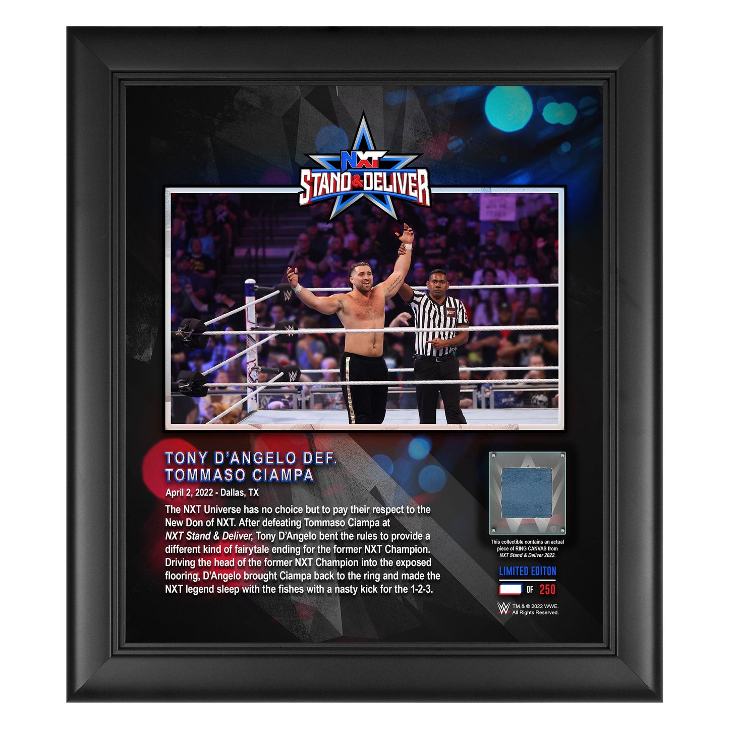 Tony D'Angelo NXT Stand & Deliver 2022 15x17 Commemorative Plaque